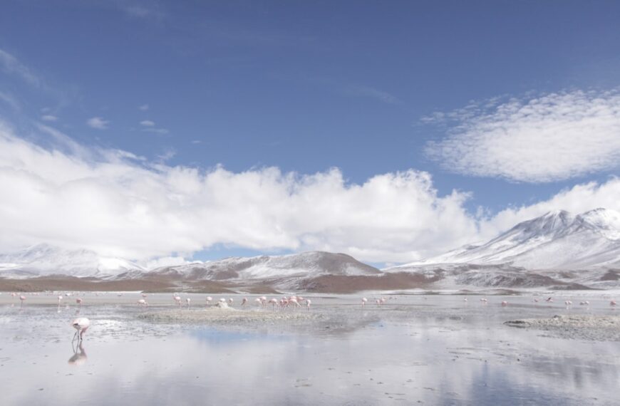 Photo Bolivian landscape